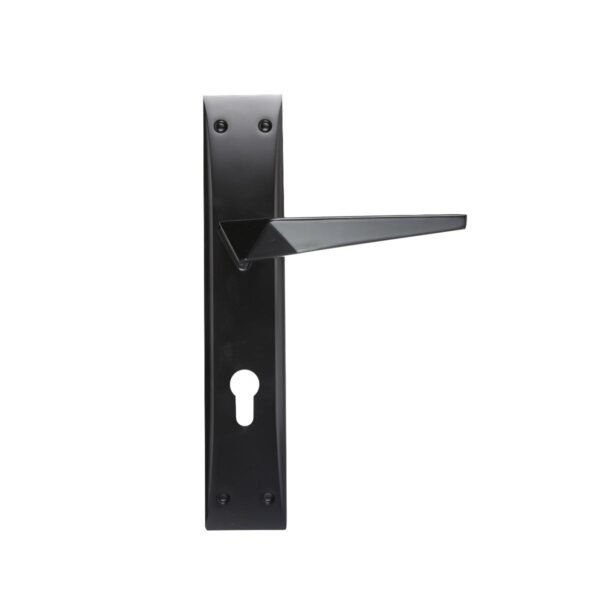 DOOR HANDLE WHITE SWAN NO 2021 BLACK